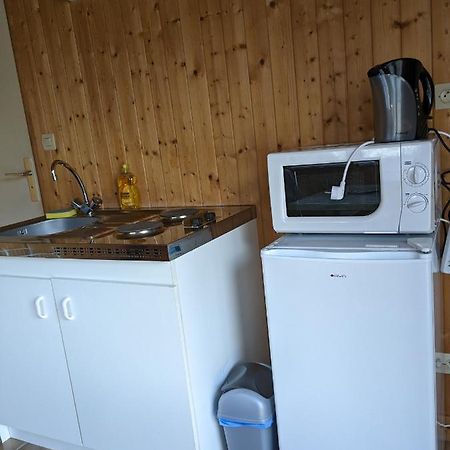 Au Petit Chalet D'Illiers Combray - Salle D'Eau Uniquement Екстериор снимка