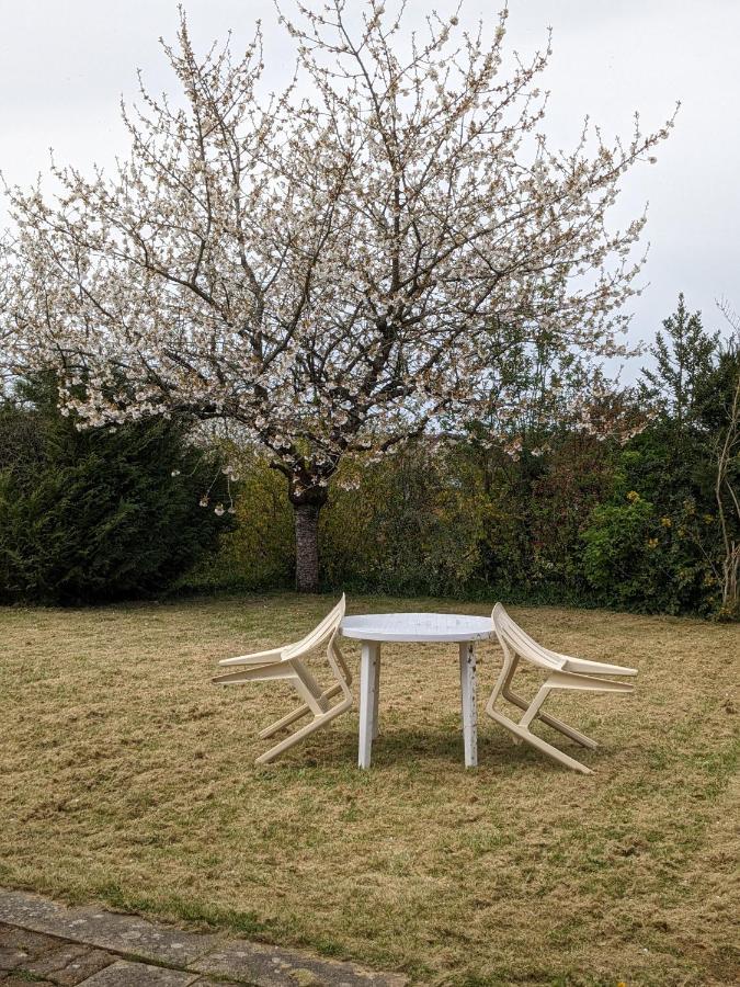 Au Petit Chalet D'Illiers Combray - Salle D'Eau Uniquement Екстериор снимка